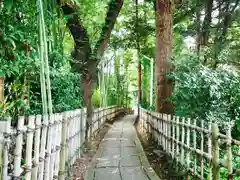 神峰神社の自然