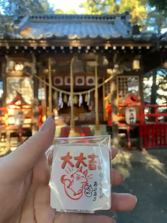 開運招福 飯玉神社(群馬県)