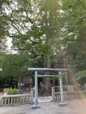 伊弉諾神宮の鳥居