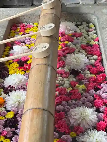 群馬県護国神社(群馬県)