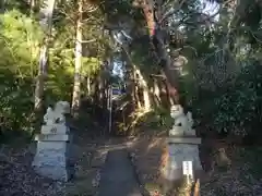 石楯尾神社の狛犬