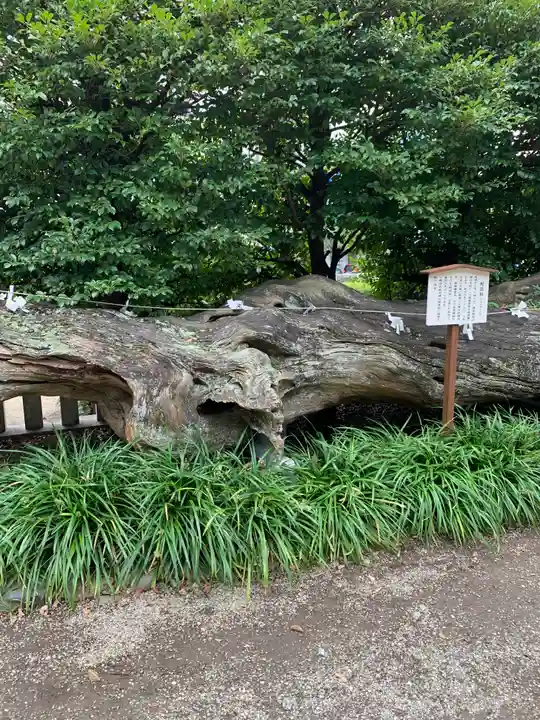 瀬戸神社(神奈川県)