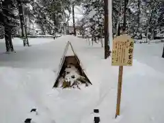 東川神社の体験その他