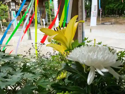 滑川神社 - 仕事と子どもの守り神の手水