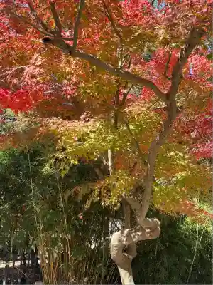 高徳院(神奈川県)