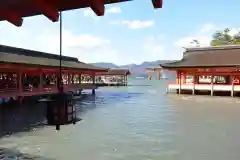 厳島神社の本殿