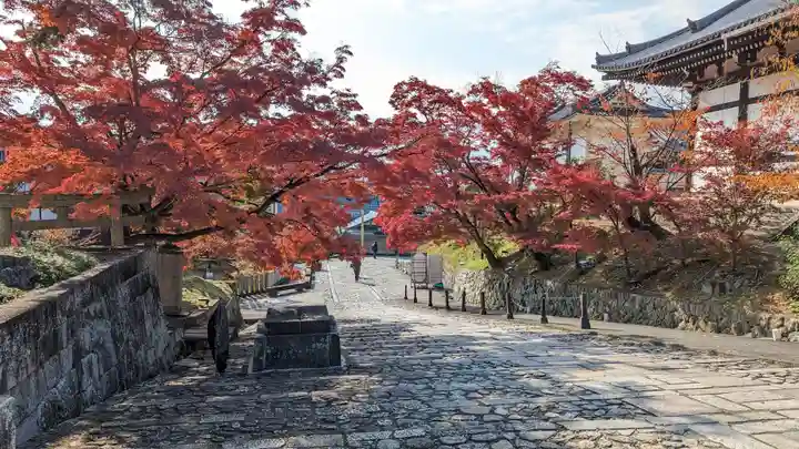 くろ谷 金戒光明寺(京都府)
