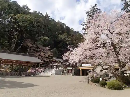 高麗神社の景色