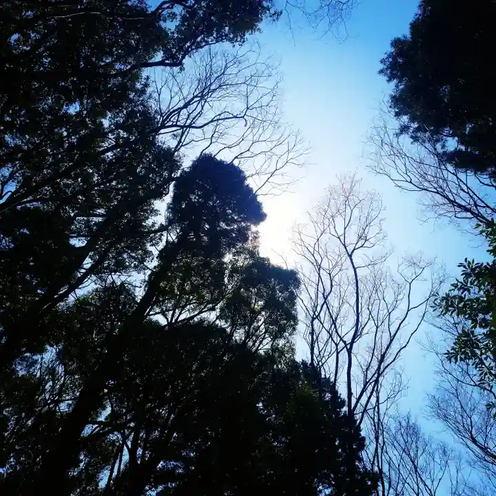 鹿島神宮の自然