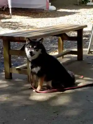 上目黒氷川神社(東京都)