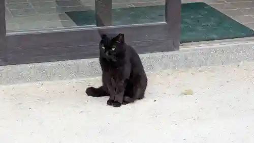 太宰府天満宮の動物