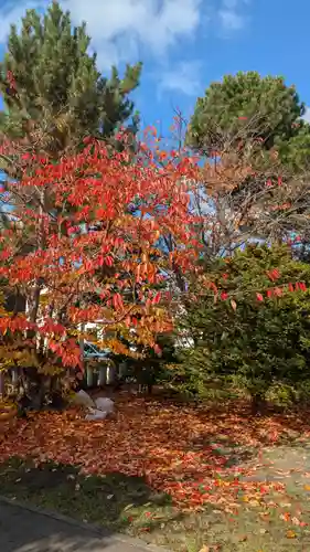 烈々布神社の自然