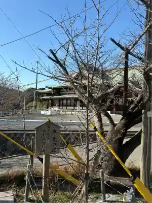 宮地嶽神社(福岡県)