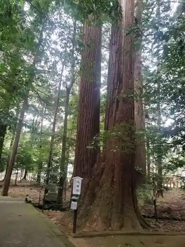 若狭姫神社（若狭彦神社下社）(福井県)