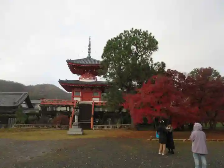 大覚寺(京都府)