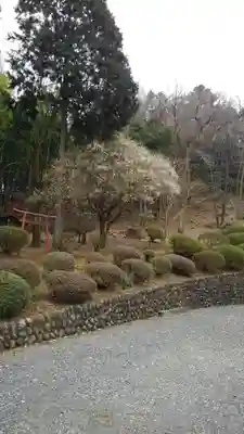 大仙寺の鳥居