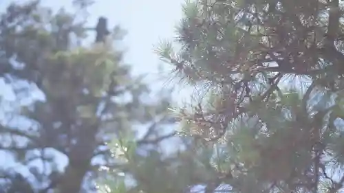 八大神社(京都府)