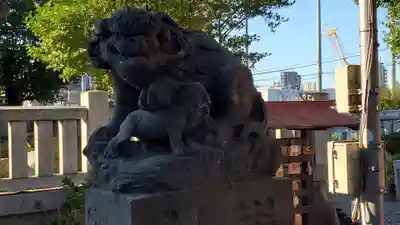 千住神社の狛犬