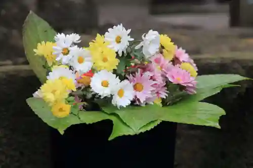 熊野福藏神社の手水