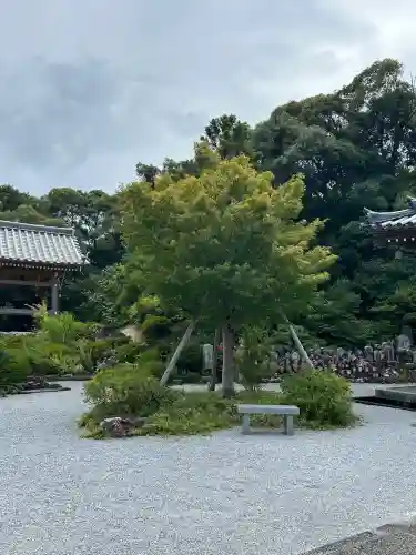 大日寺(高知県)