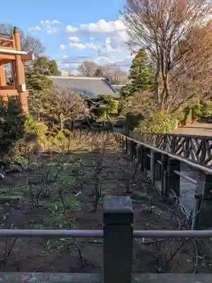 東長谷寺　薬王院(東京都)