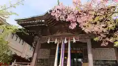 桜神宮の本殿