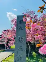 守りの神 藤基神社(新潟県)