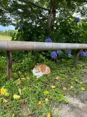 白鬚神社(宮崎県)