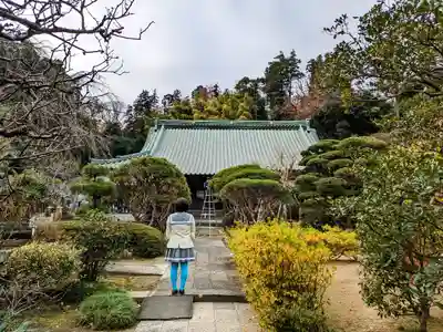 雲松院の本殿・本堂
