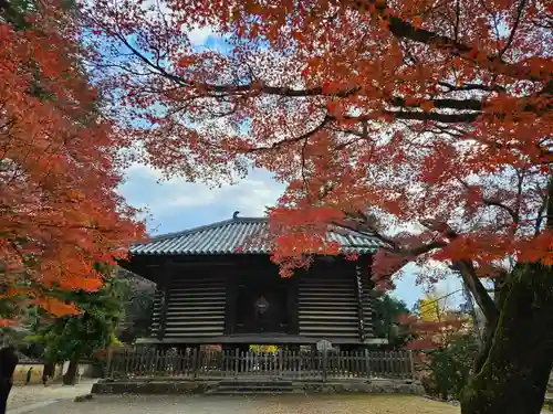 東大寺(奈良県)
