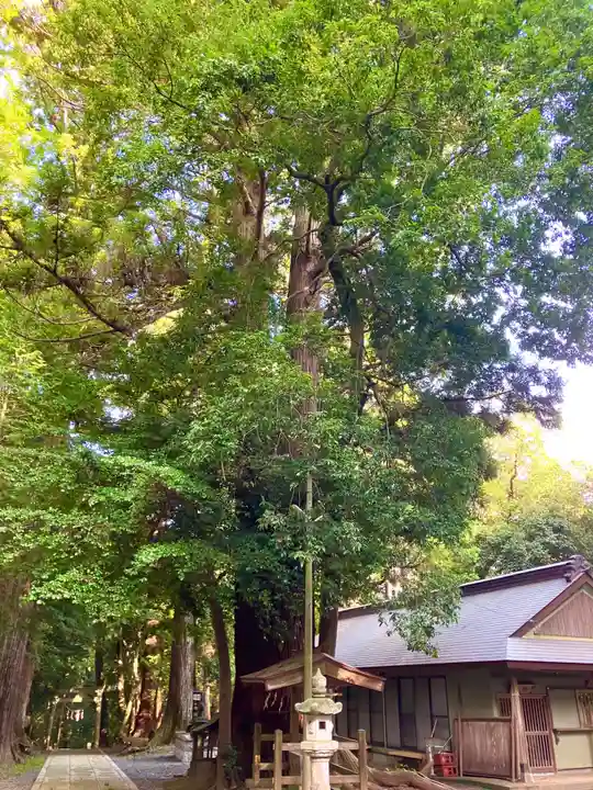 鴨鳥五所神社(茨城県)