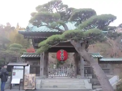 長谷寺の山門