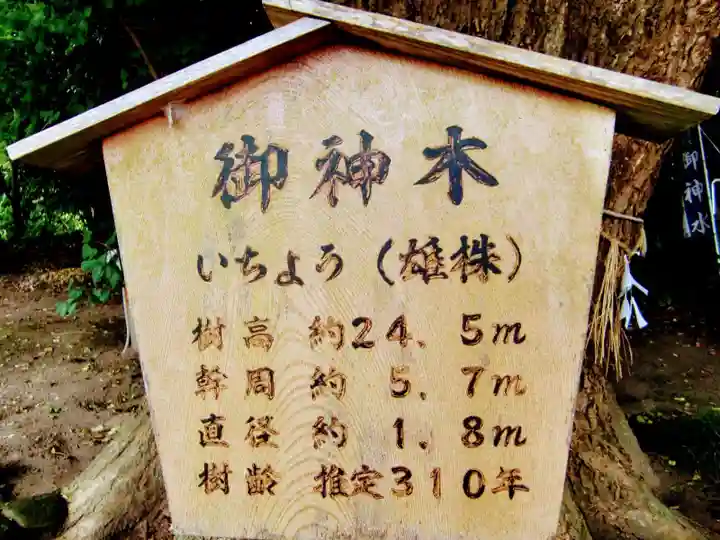 浅間神社の歴史