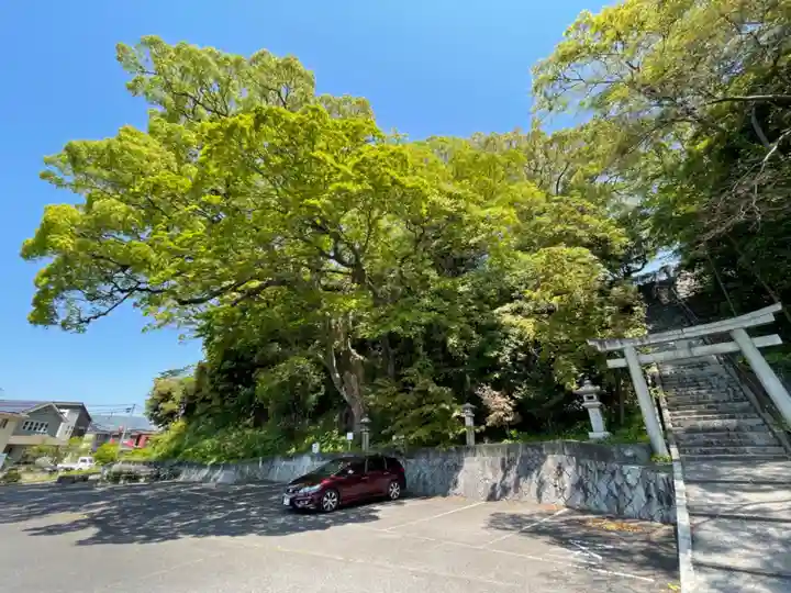 遠石八幡宮(山口県)