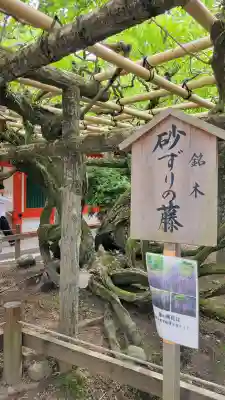 春日大社の{uncategorized: "未分類", other: "その他", undefined: "問題あり", building: "その他建物", grave: "お墓", sacred_gate: "鳥居", guardian: "狛犬", statue: "像", buddha: "仏像", history: "歴史", nature: "自然", garden: "庭園", animal: "動物", pagoda: "塔", temizu: "手水舎", mountain_gate: "山門・神門", sanctuary: "本殿・本堂", subordinate: "末社・摂社", art: "芸術", scenery: "景色", jizo: "地蔵", ema: "絵馬", goshuin: "御朱印", omikuji: "おみくじ", items: "授与品その他", amulet: "お守り", goshuincho: "御朱印帳", eats: "食事", festival: "お祭り", votive_dance: "神楽", shichigosan: "七五三参", wedding: "結婚式", experience: "体験その他", initially: "初詣", around: "周辺", anti_infection: "感染症対策"}