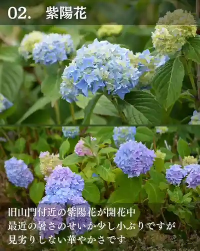 宝光寺(北海道)