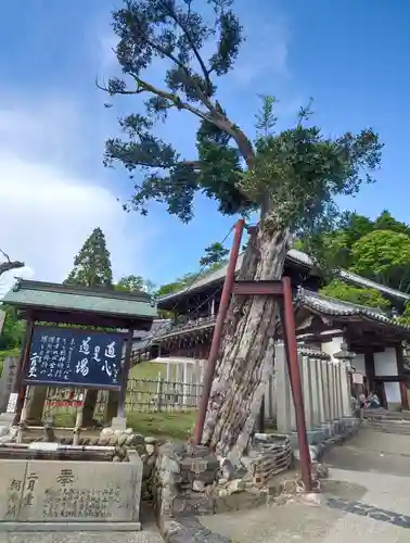 東大寺 二月堂(奈良県)
