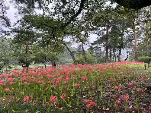 埼玉縣護國神社(埼玉県)