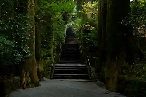 箱根神社(神奈川県)