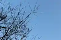 くまくま神社(導きの社 熊野町熊野神社)の自然