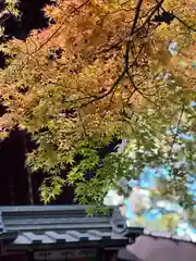 北口本宮冨士浅間神社の自然