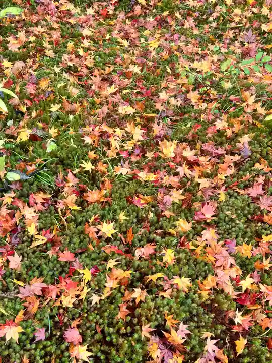 実光院(京都府)