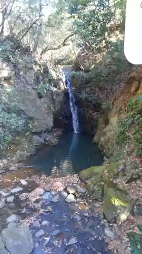 清荒神清澄寺の自然