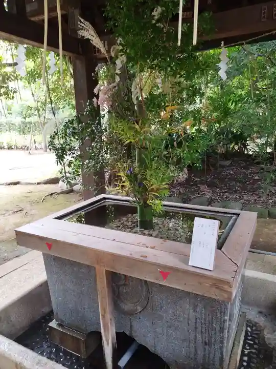 赤坂氷川神社(東京都)