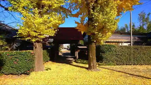 普光明寺の山門