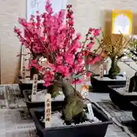 彌彦神社 (伊夜日子神社)(北海道)