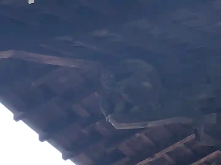 専称寺(山形県)