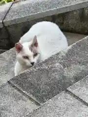 王子神社(徳島県)