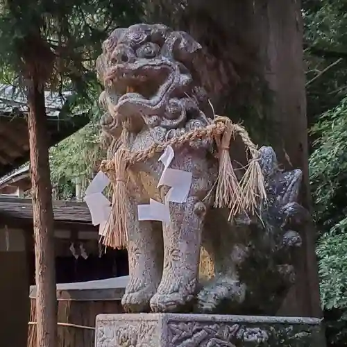 岡八幡宮の狛犬