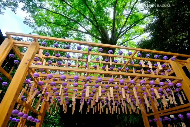川越氷川神社(埼玉県)